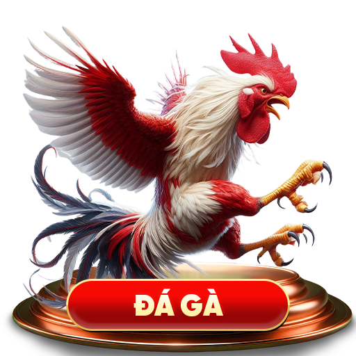 Đá Gà