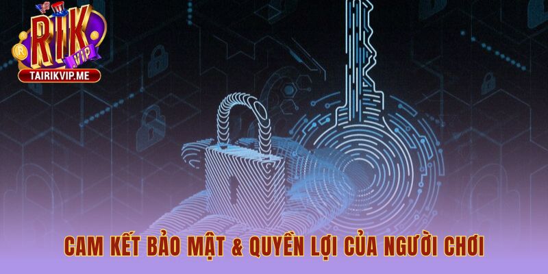 Cam kết quyền riêng tư với mã hóa SSL và kiểm soát truy cập