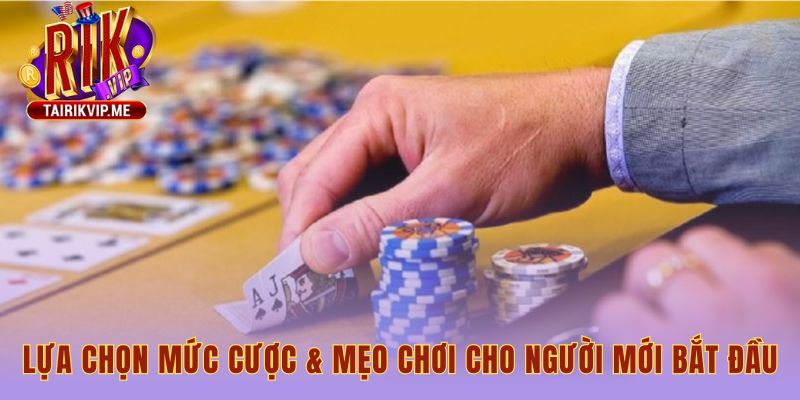 Mẹo chơi cho người mới tập trung quản lý vốn và sự kiên nhẫn